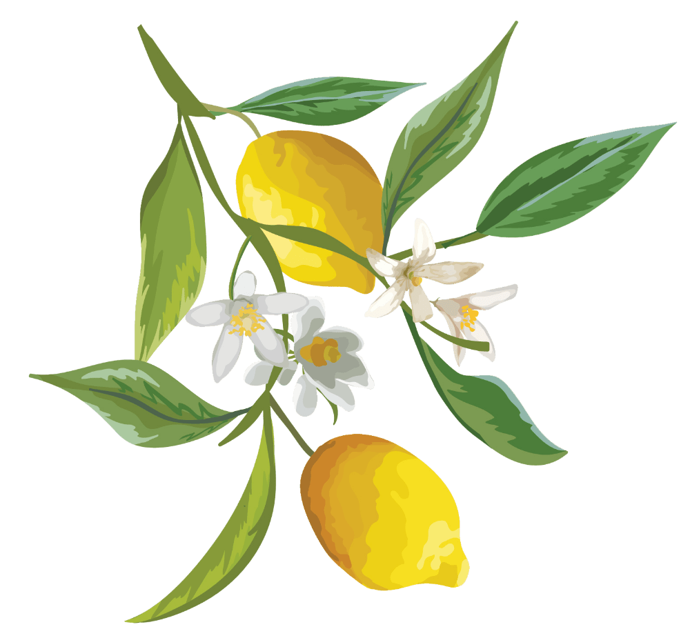 Lemon how to just tree clipart photo