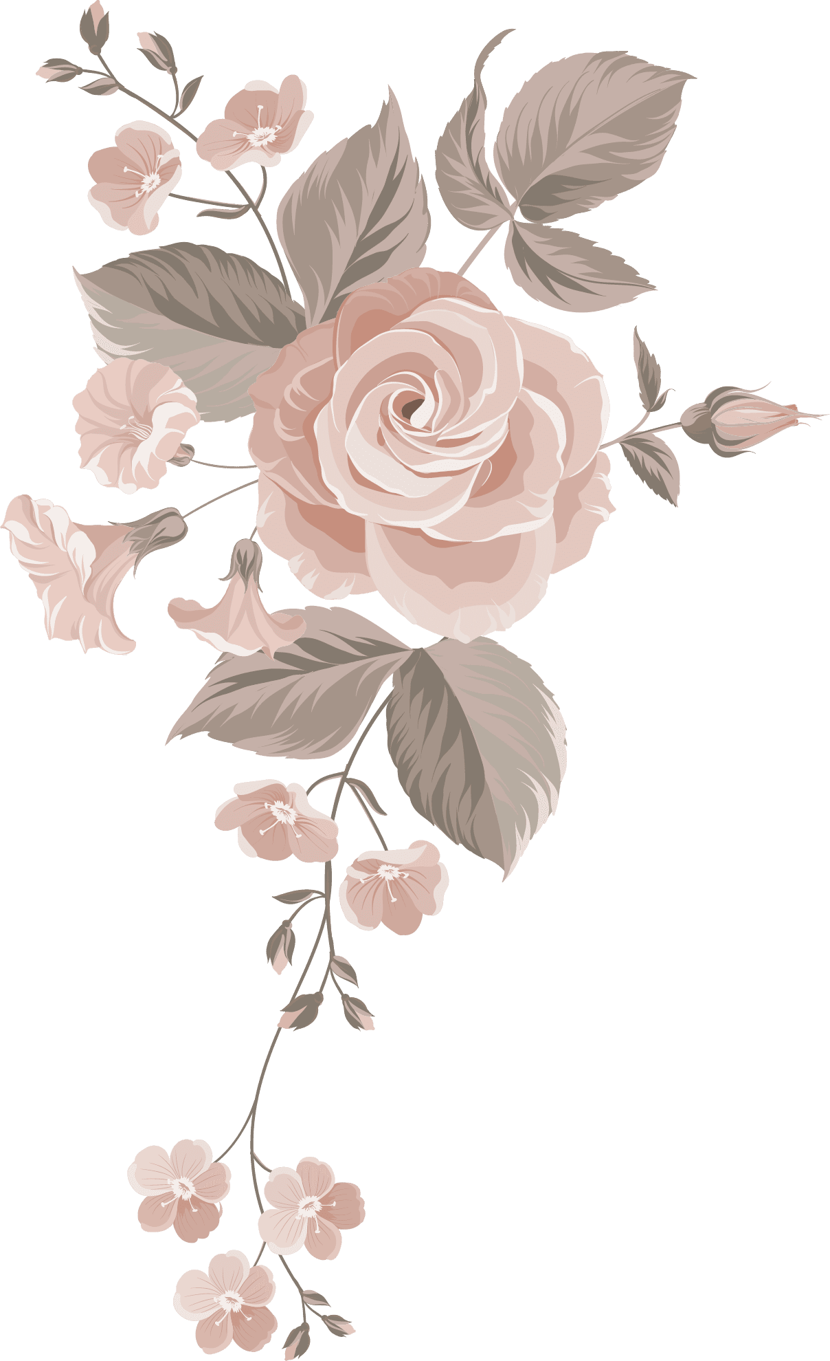 Floral page clipart free