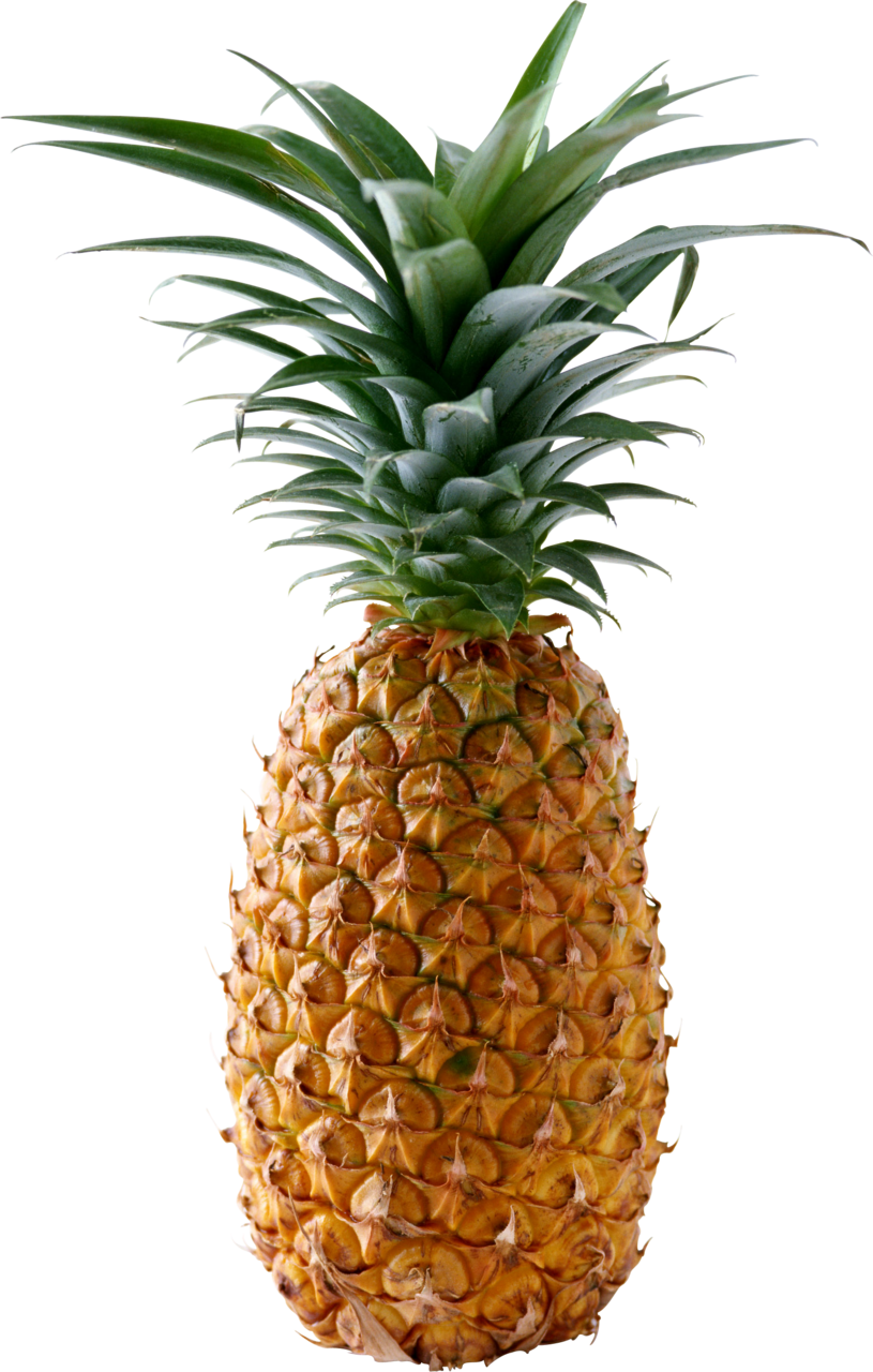 Pineapple images clipart