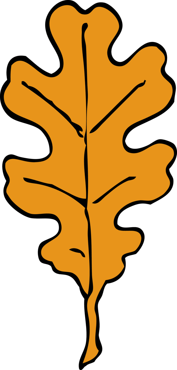 Fall leaf ecosia the search engine that plants trees clipart vector