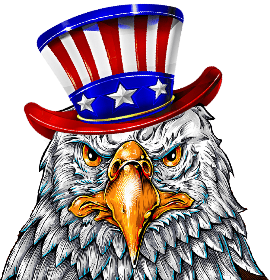 Eagle pin clip bits clipart background