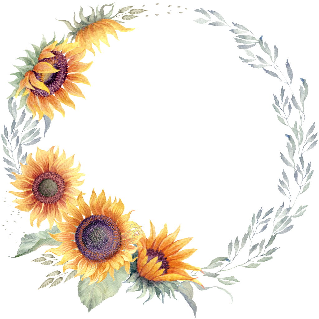 Sunflower girasoli in per la grafica materiale psp ps clipart free