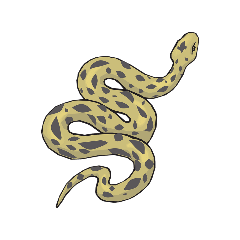 Snake anaconda images hd photo clipart 3