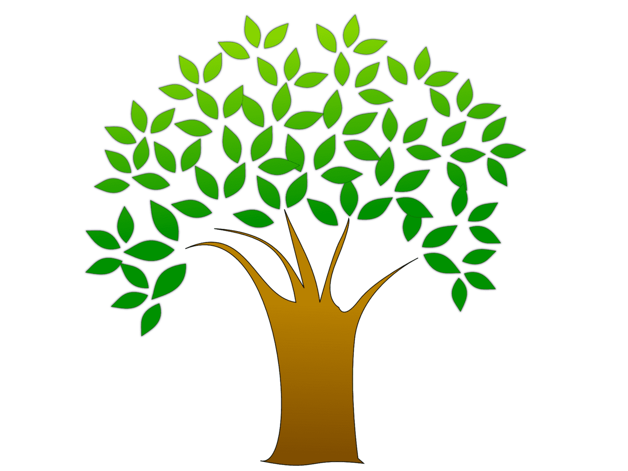 Leaves vector clipart