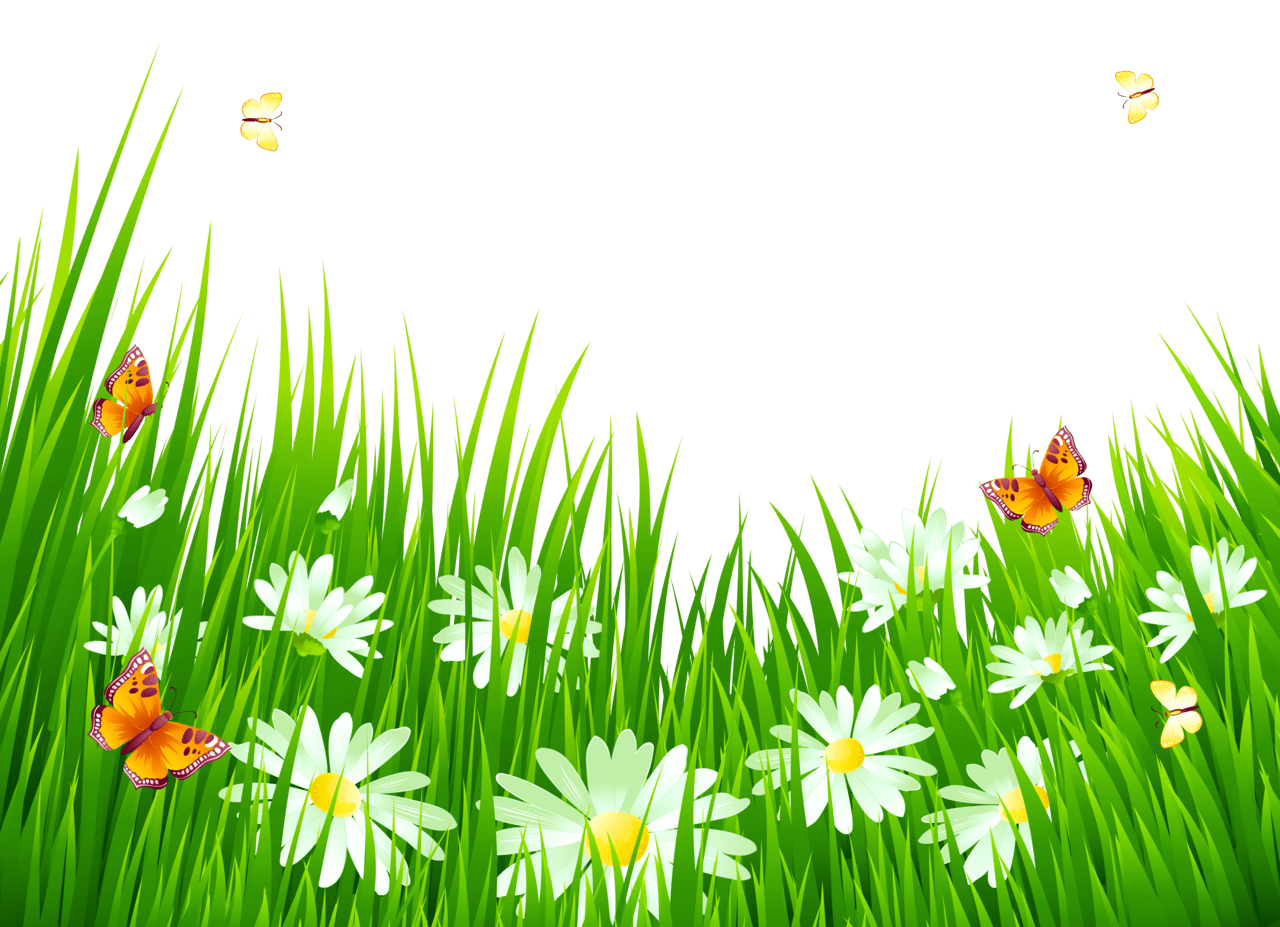 Grass with white flowers clipart picture