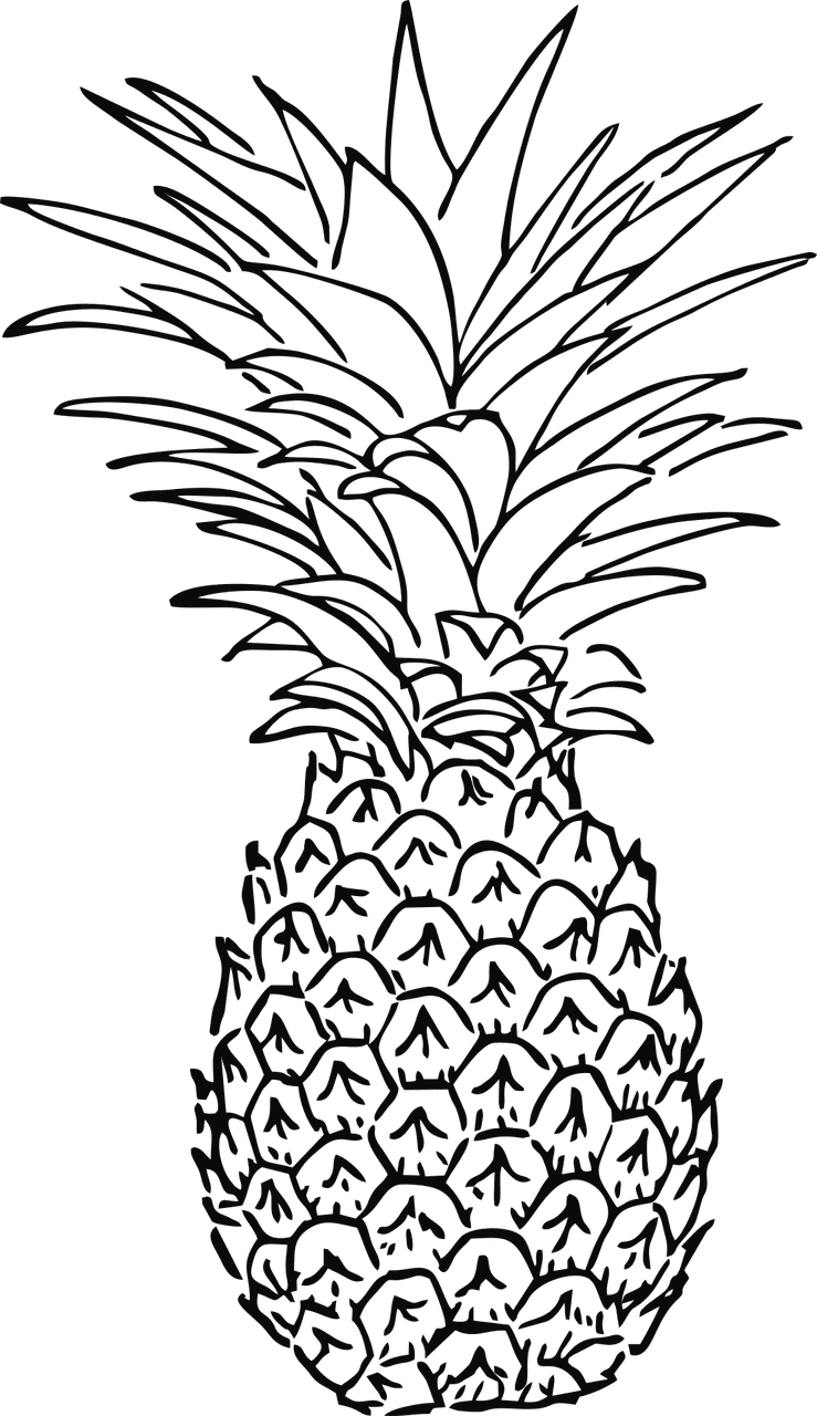 Pineapple eapple fruit tropic vector graphic clipart