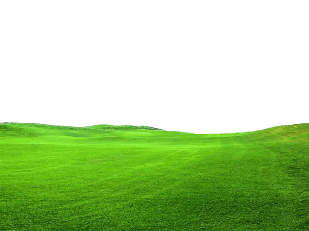 Green grass use ly by theartist deviantart background plains landscape clipart