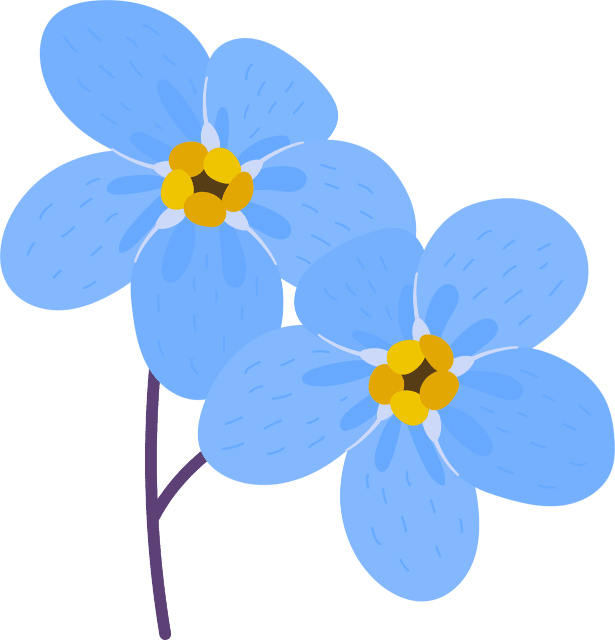 Blue flowers gerbera daisy clipart image