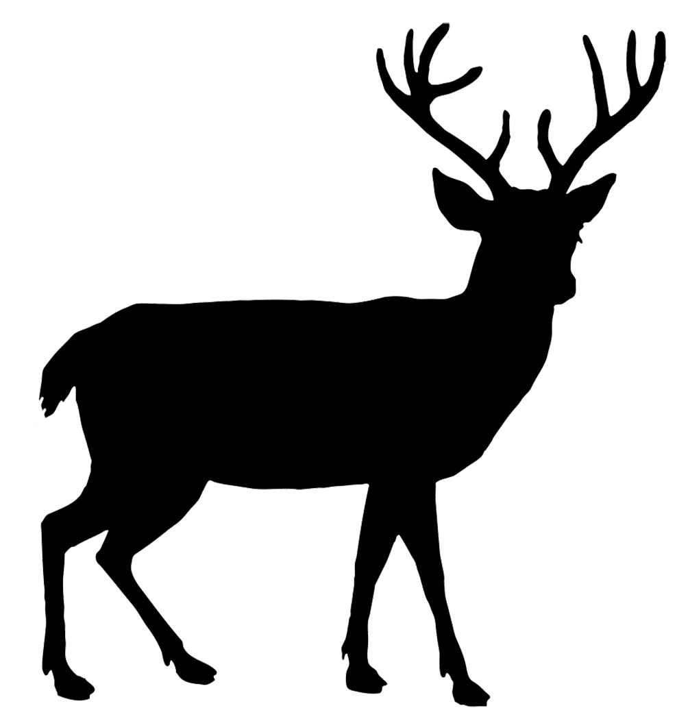 Deer pin page clipart free