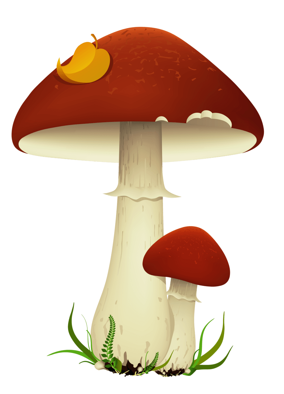 Fall mushroom picture stuffed art drawing clipart