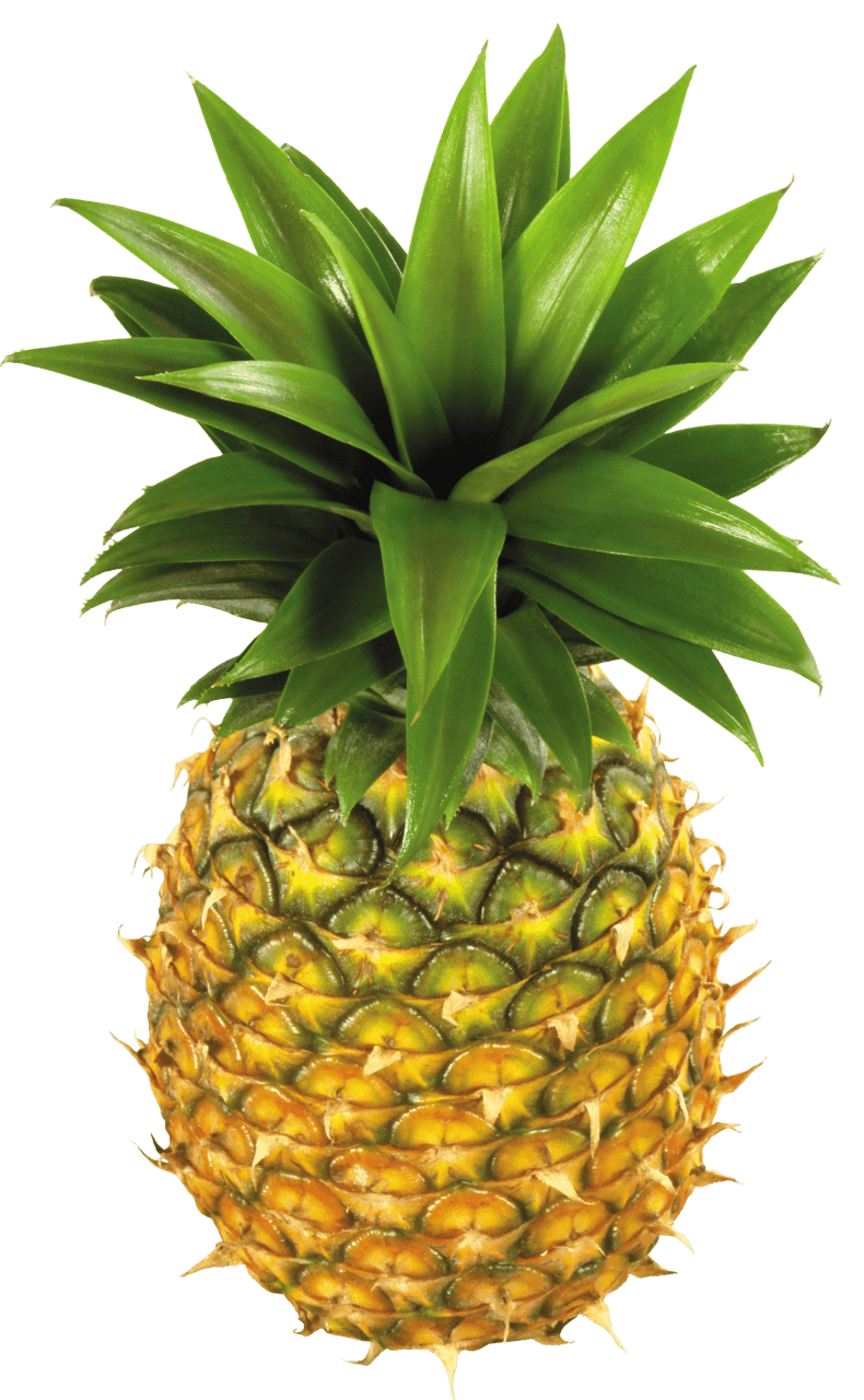 Green pineapple cliparts images clipart library