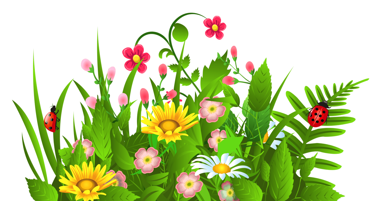 Spring flowers clipart background