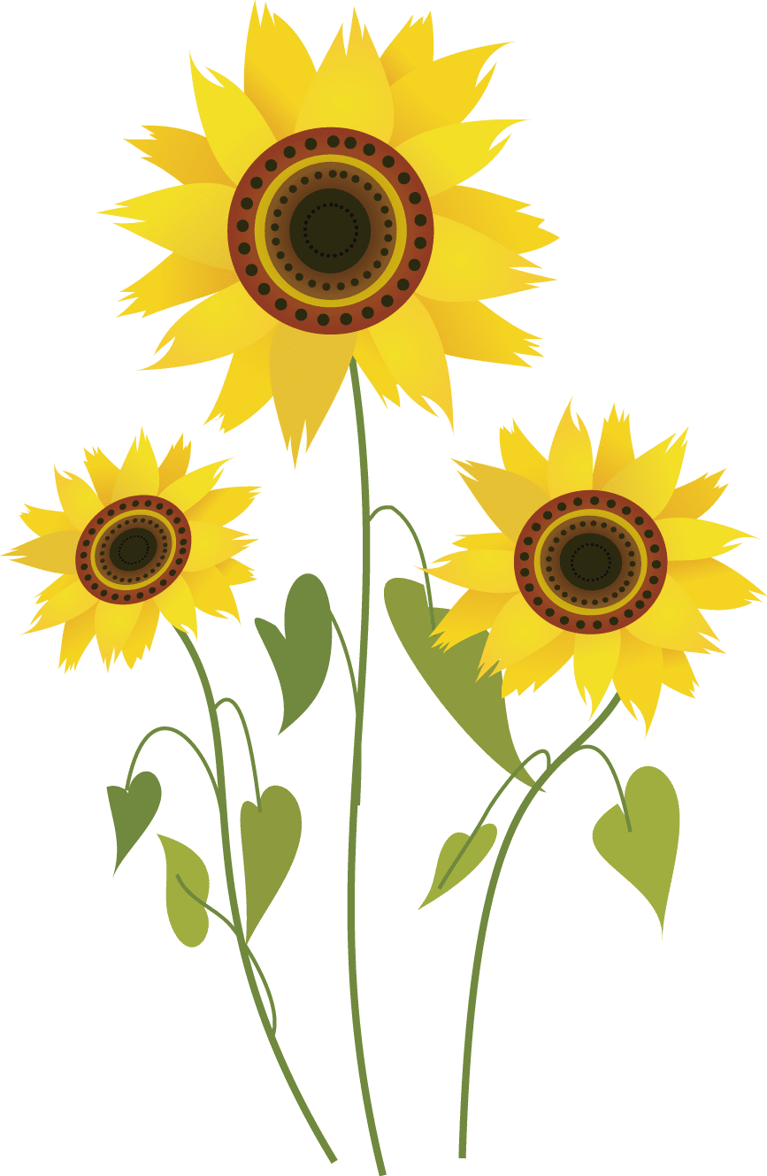 Drawing sunflower plant clipart ywd logo