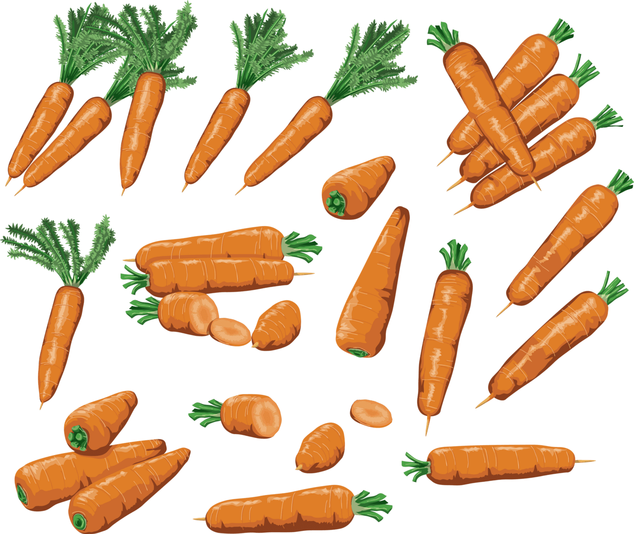 Carrot clipart vector