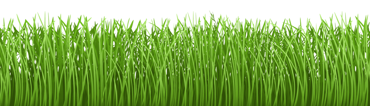 Grass ground cover clipart image