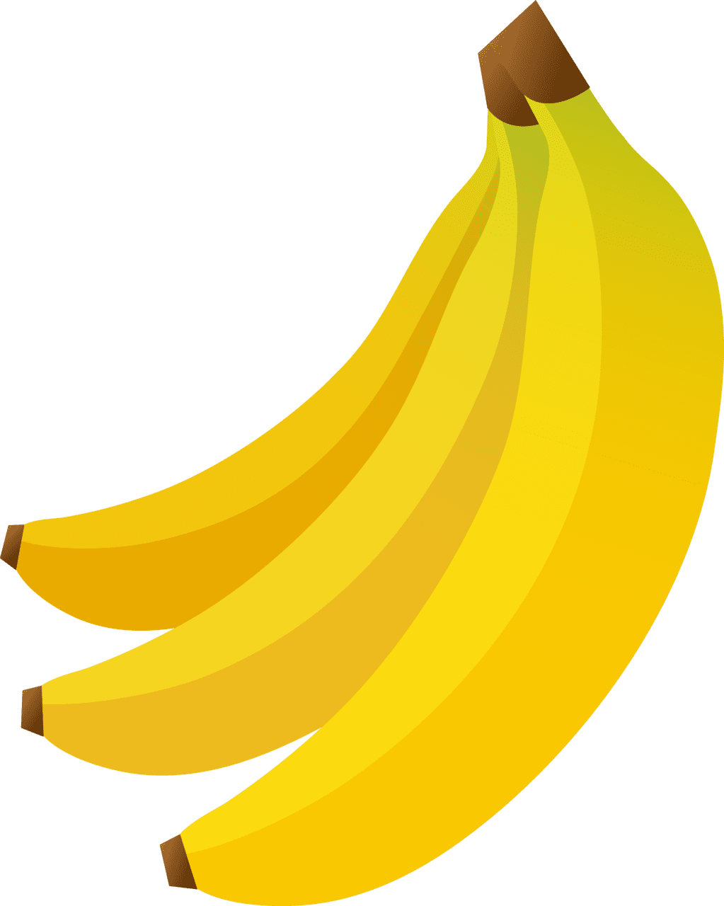 Banana clipart vector
