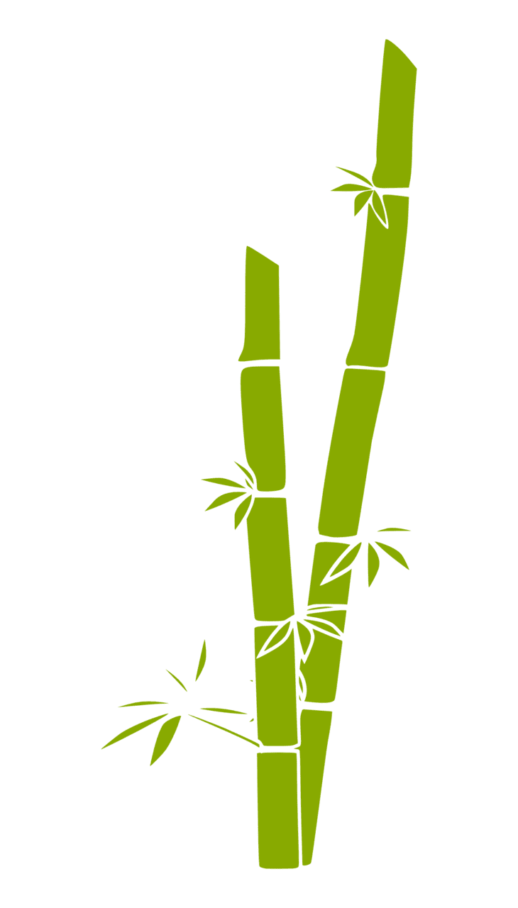 Bamboo grass tree clipart best vector