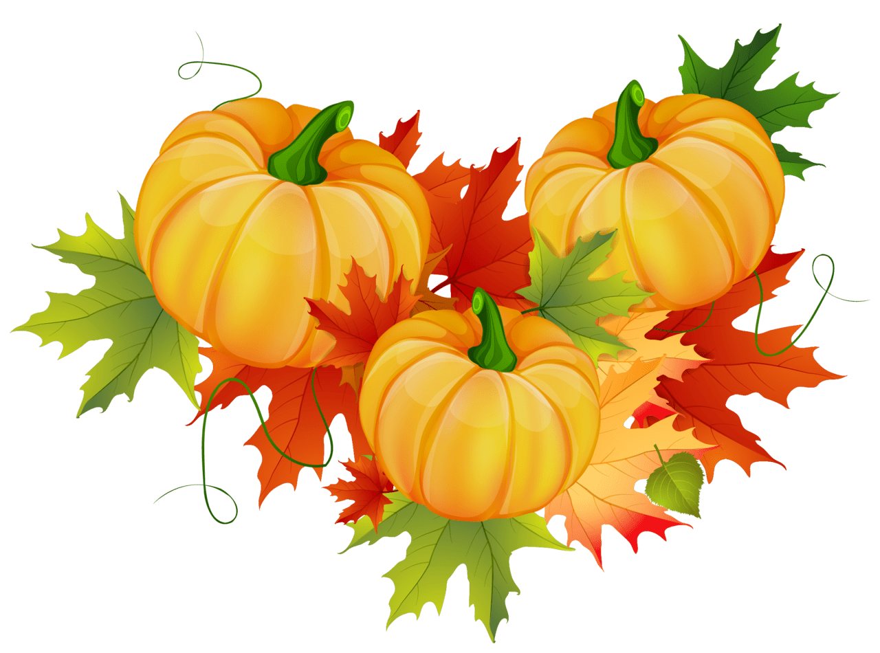 Autumn leaves pin page clipart transparent