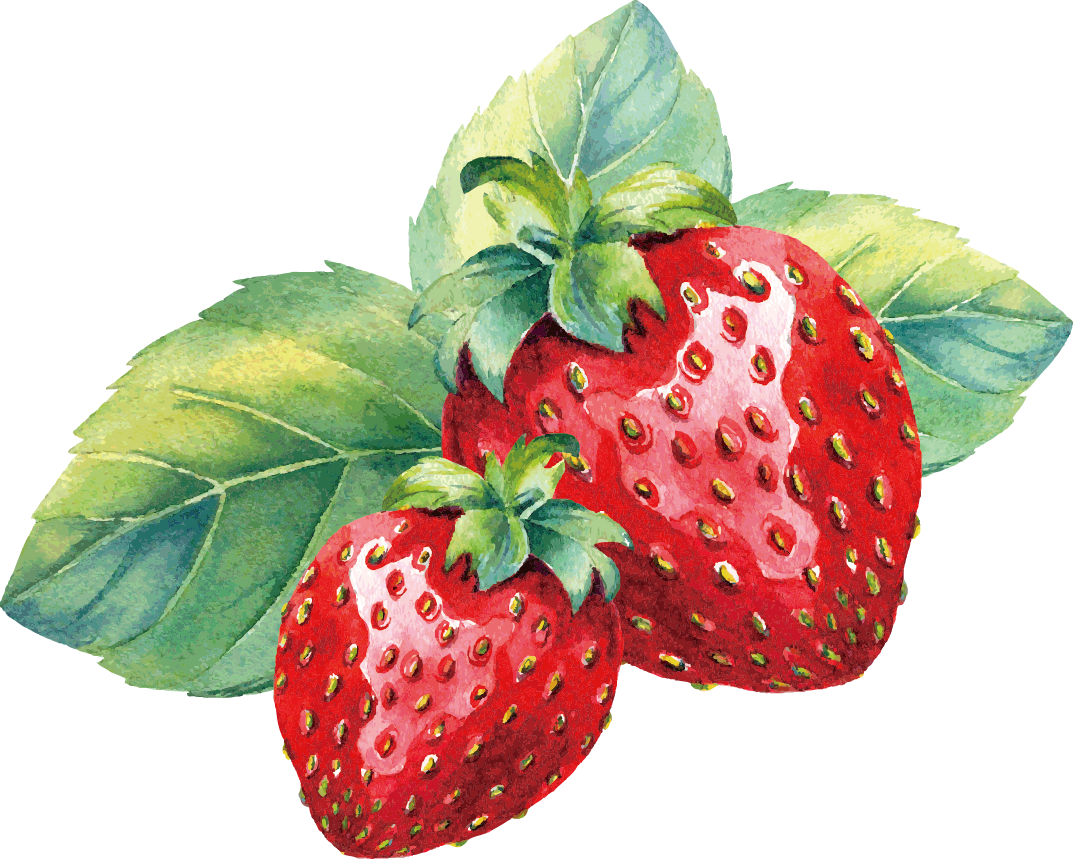 Strawberry pin by modorova svetlana fruit painting watercolor plants clipart logo