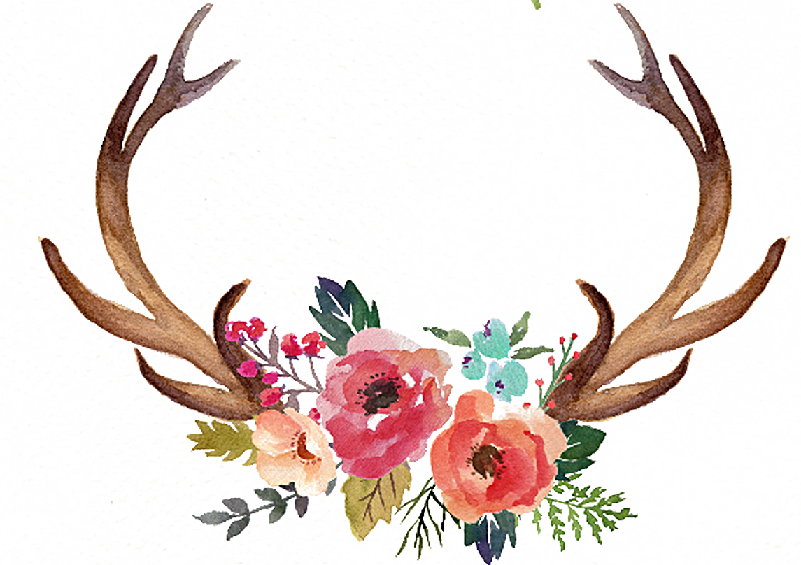 Antlers moose flower painted deer hand antler clipart picture