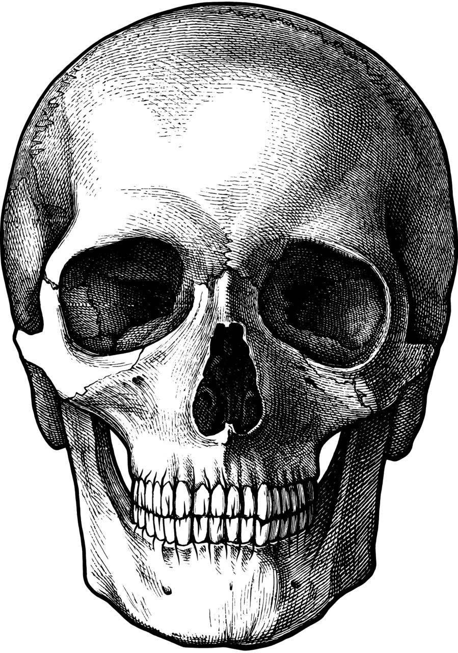 Skull clipart background 2