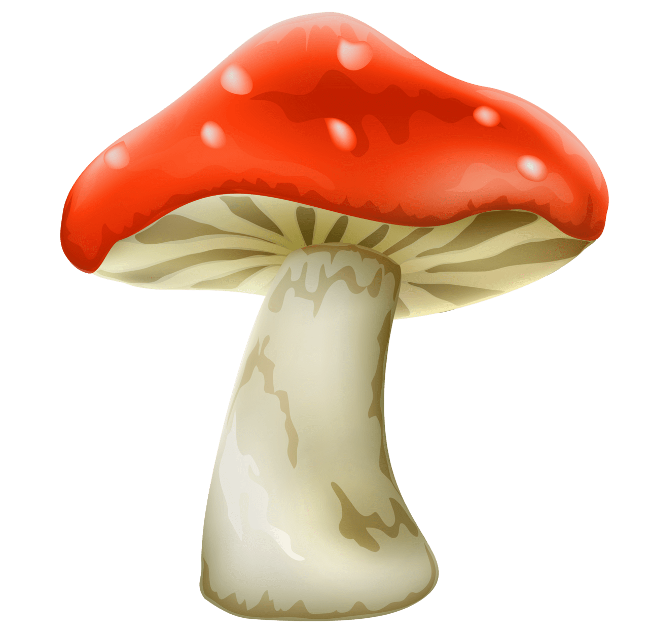 Red mushroom with white dots clipart best vector