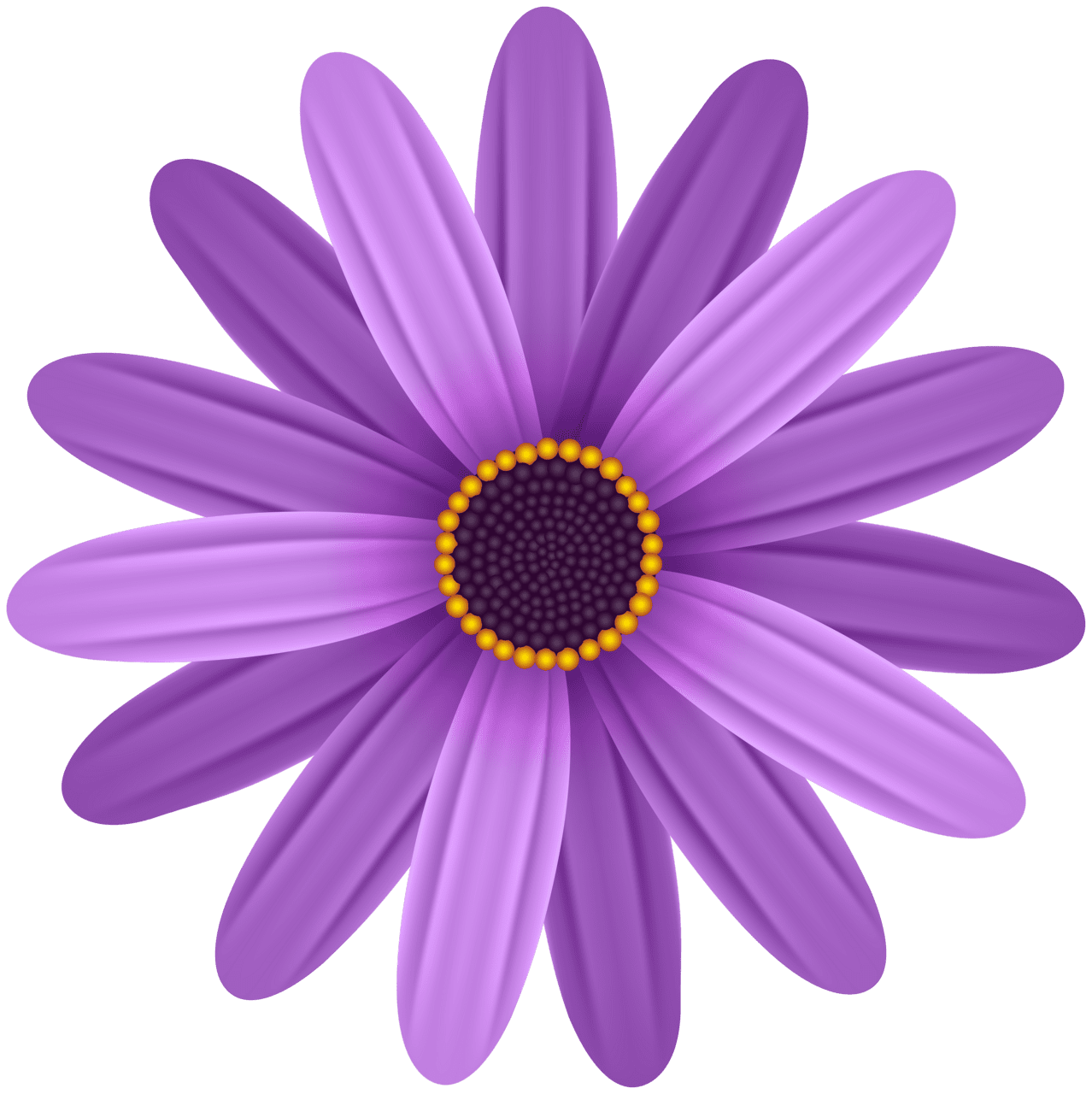 Daisy purple flower clipart image 2