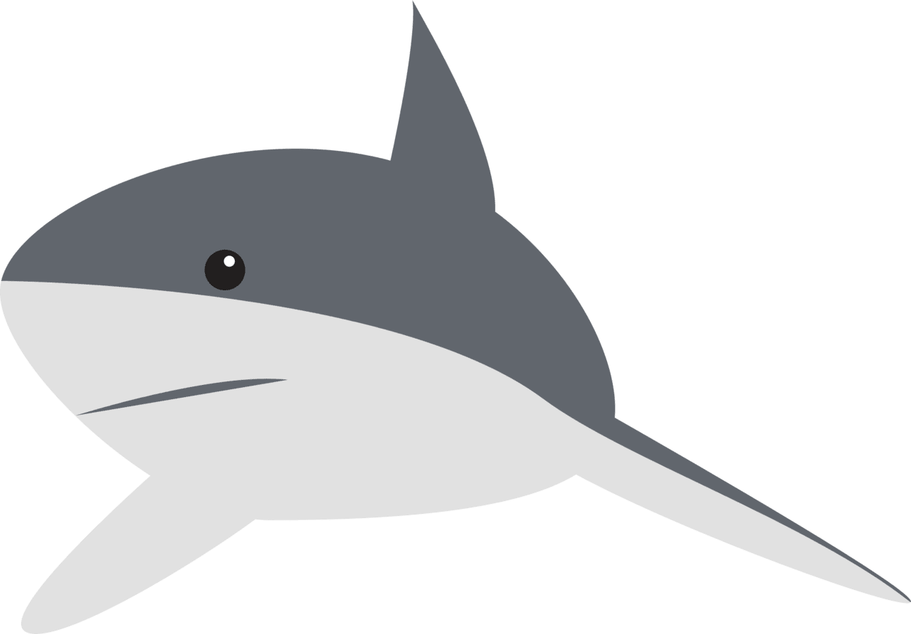 Cartoon shark clipart image