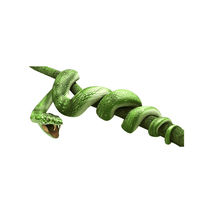 Snake green mamba images hd photo clipart 2