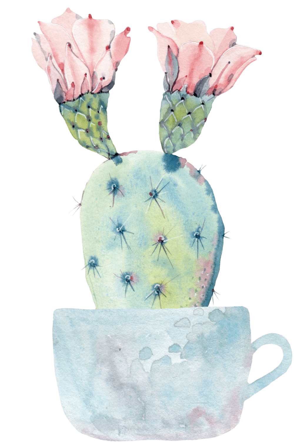 Green wall transprent flowerpot easter cactaceae pintura de cactus ilustracion acuarela dibujos bot nicos clipart free