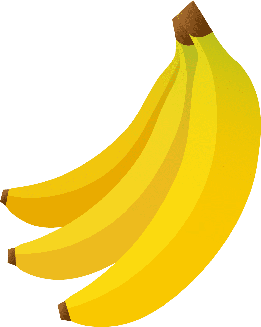 Banana clipart image