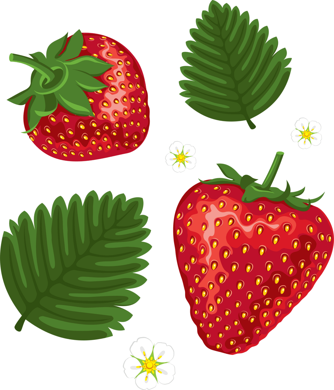 Fruit strawberry clipart image