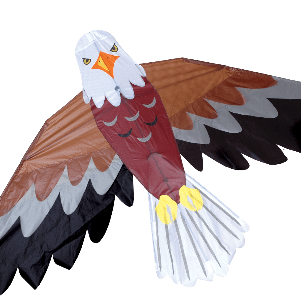 Bald eagle kite clipart transparent