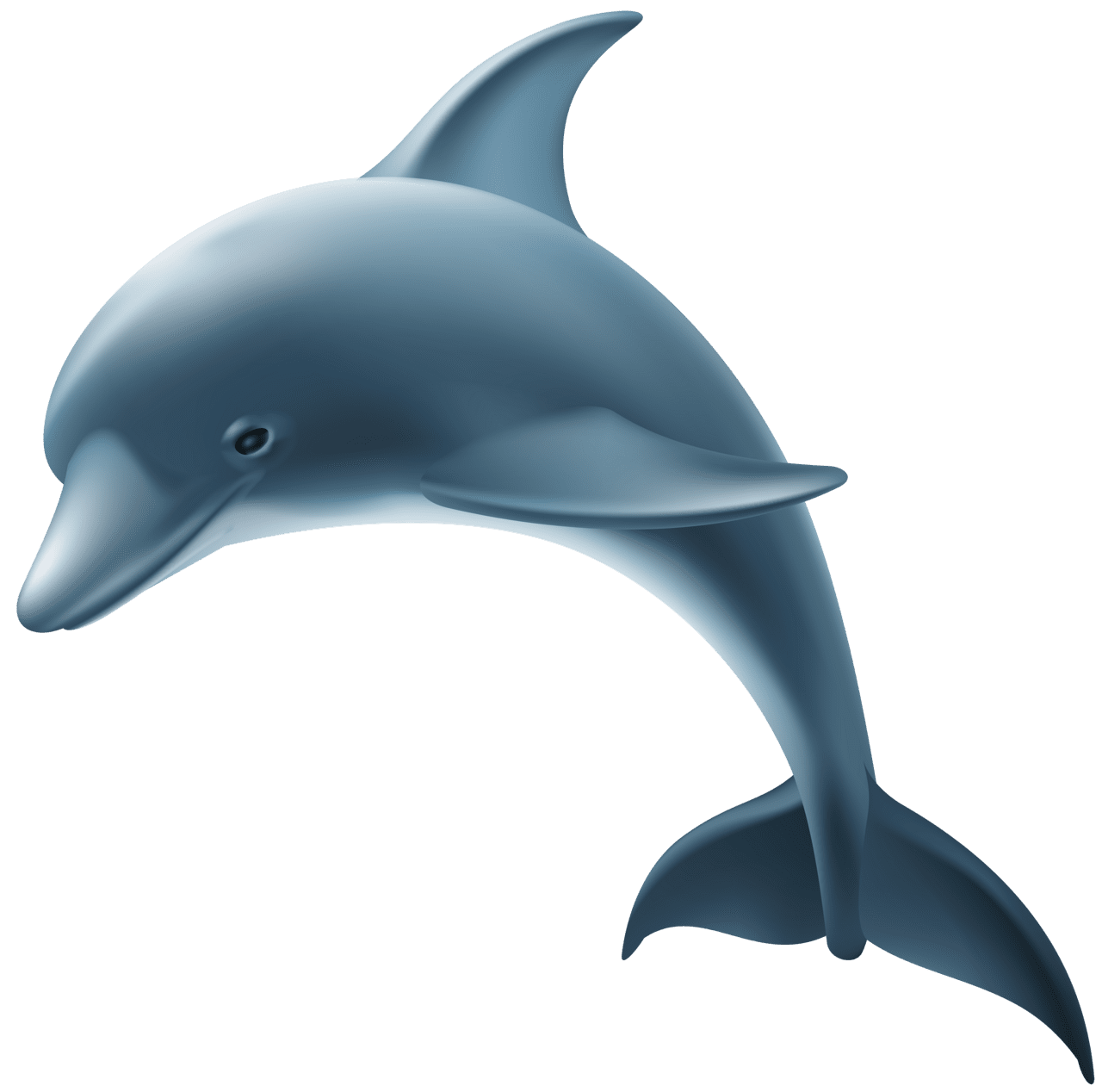 Dolphin dol in clipart image