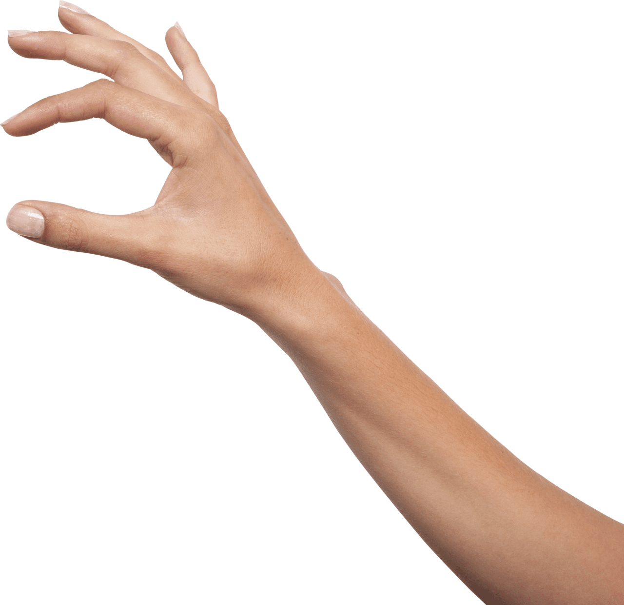 Hand clipart image