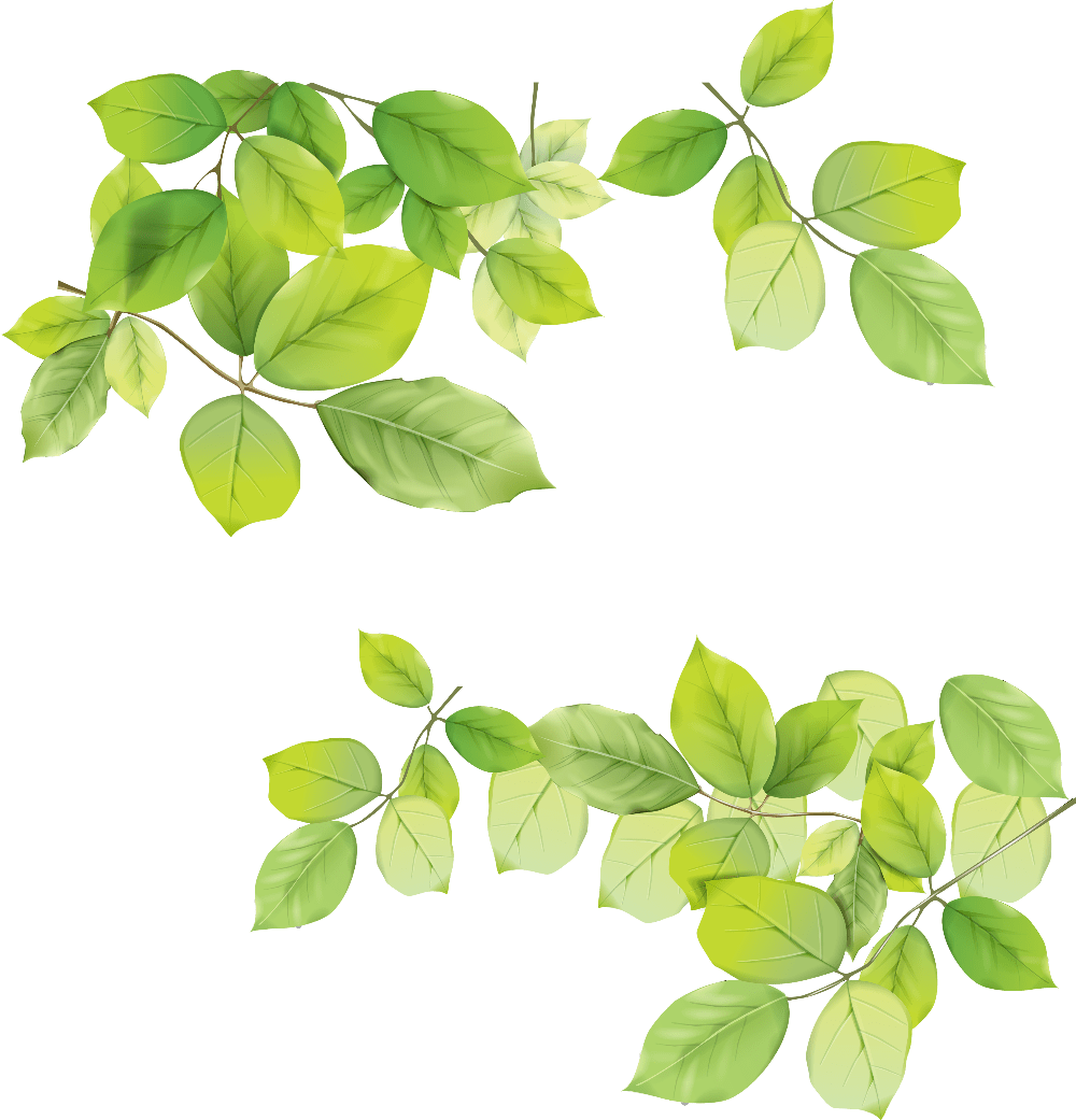 Green leaves clipart free