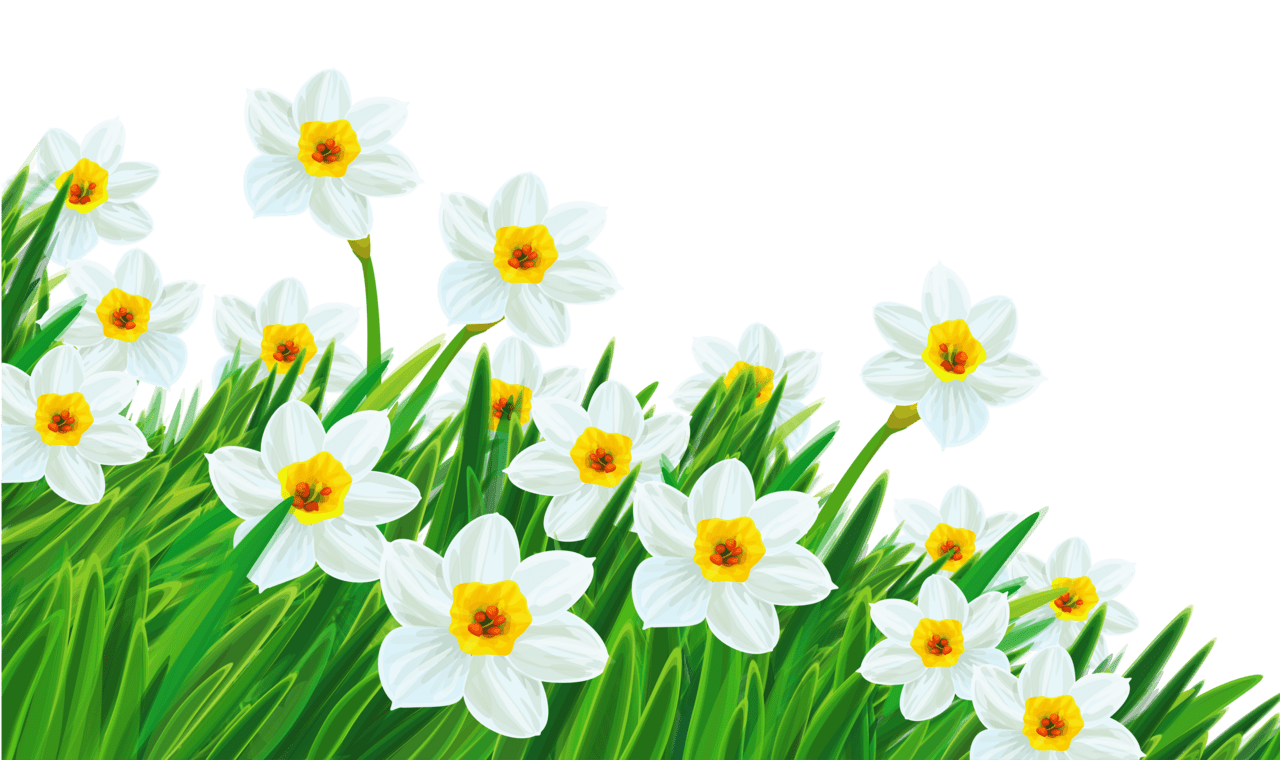 Tulip clipart grass background pencil and in color good ideas