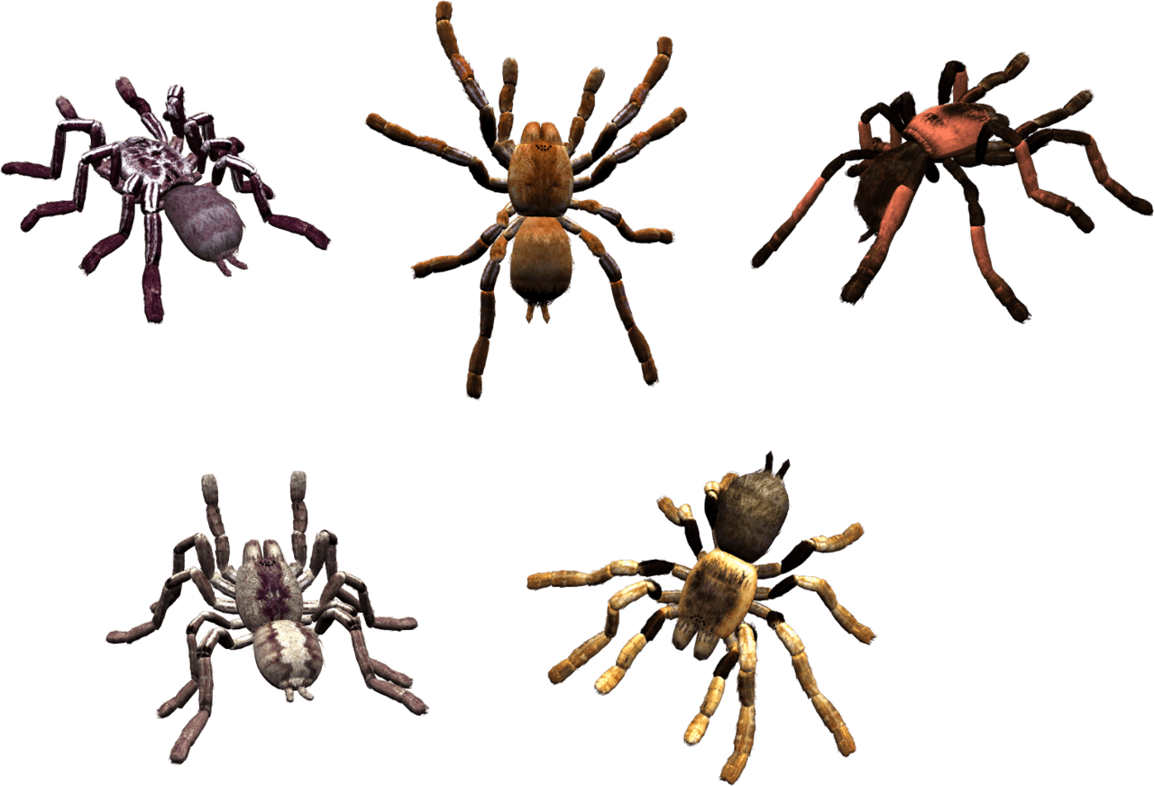 Spider clipart logo 2