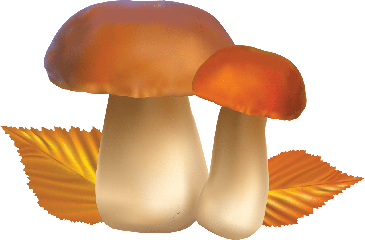 Mushroom image with background clipart