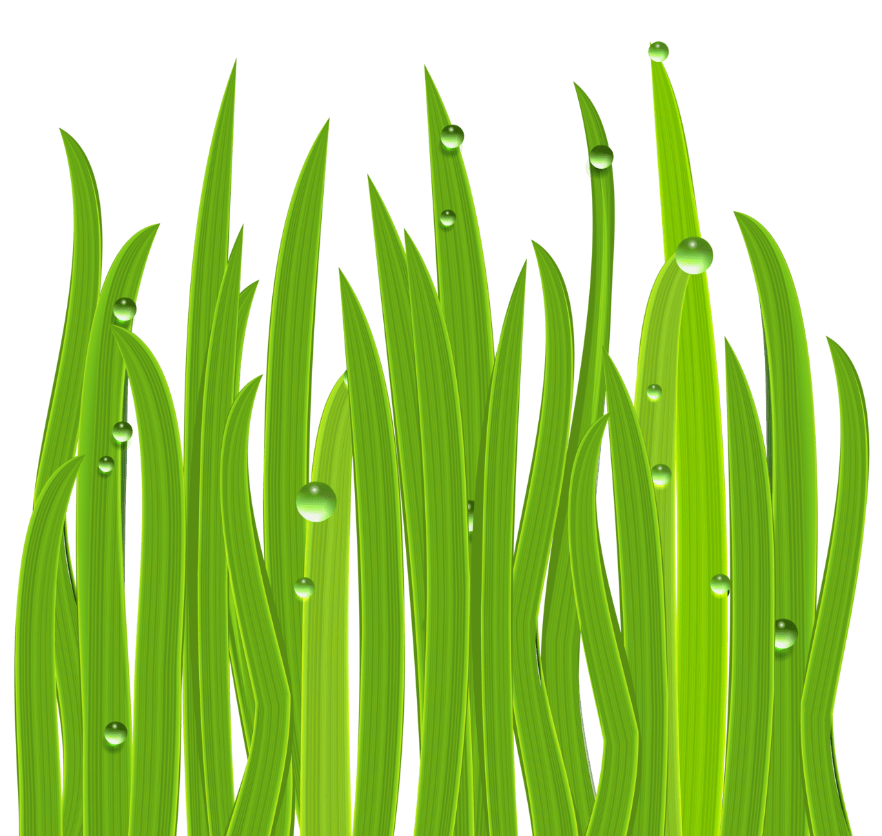 Grass decor clipart image