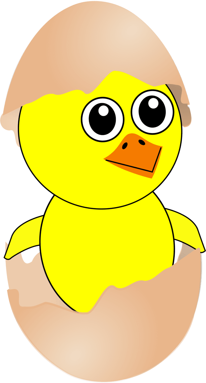 Funny chick cartoon newborn ing out from the egg with shell hat clipart background