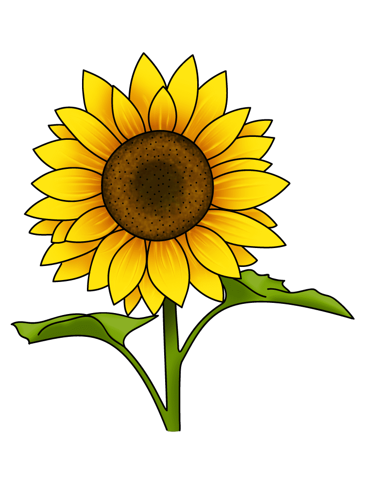 How to draw flowers sunflower clipart free