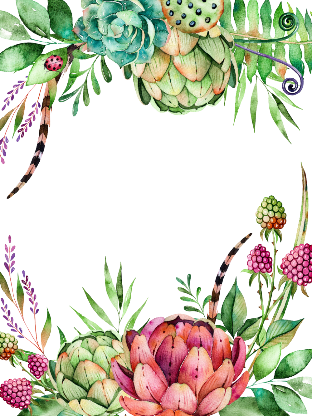 Cactus watercolor floral background unlimited clea clipart