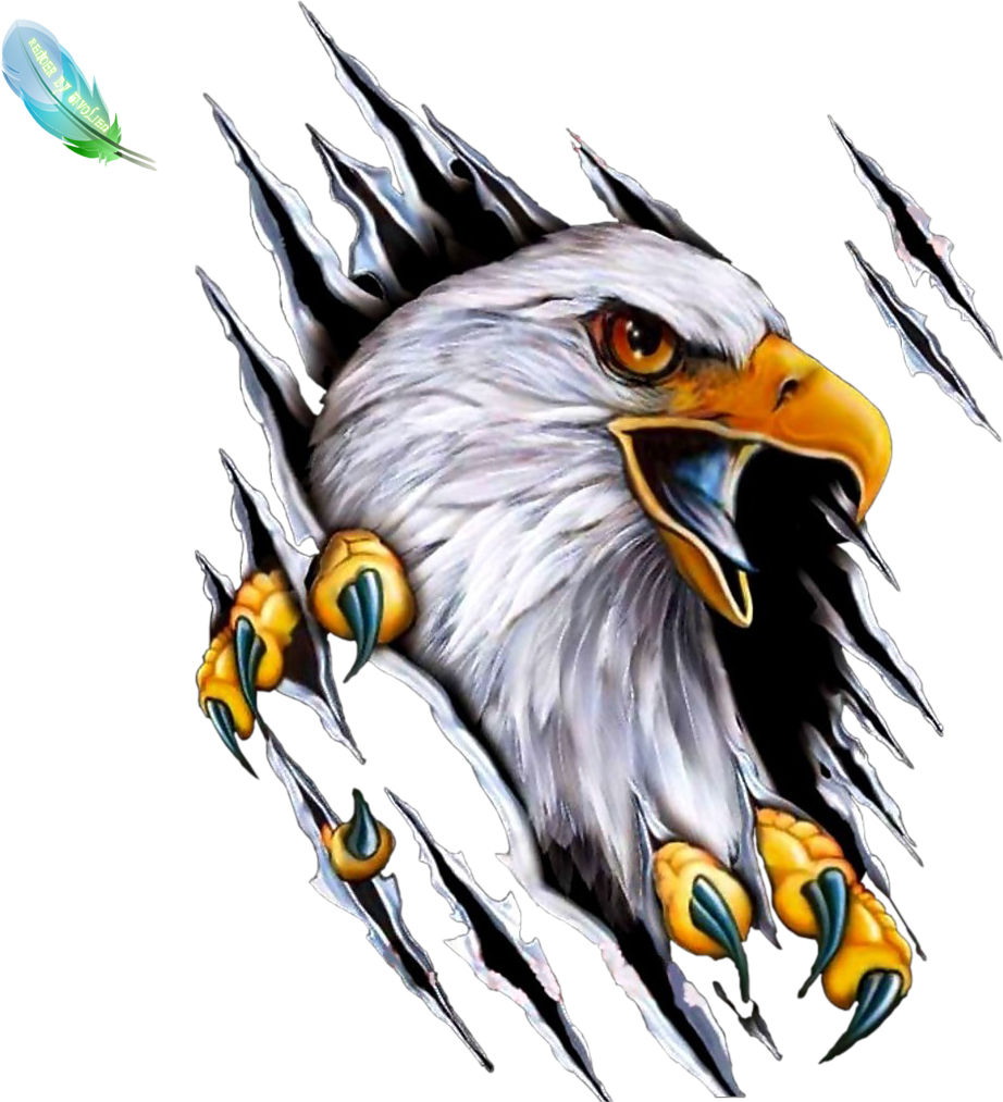 Eagle vel clipart photo