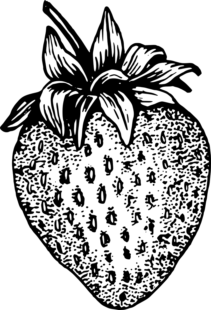 Strawberry berry plant vector graphic clipart