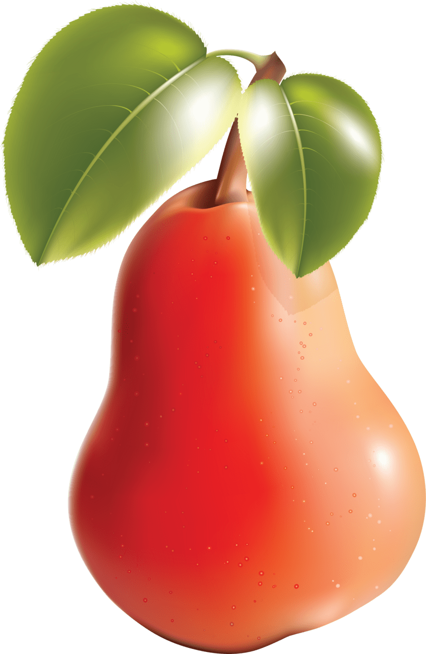 Fruit pear clipart vector