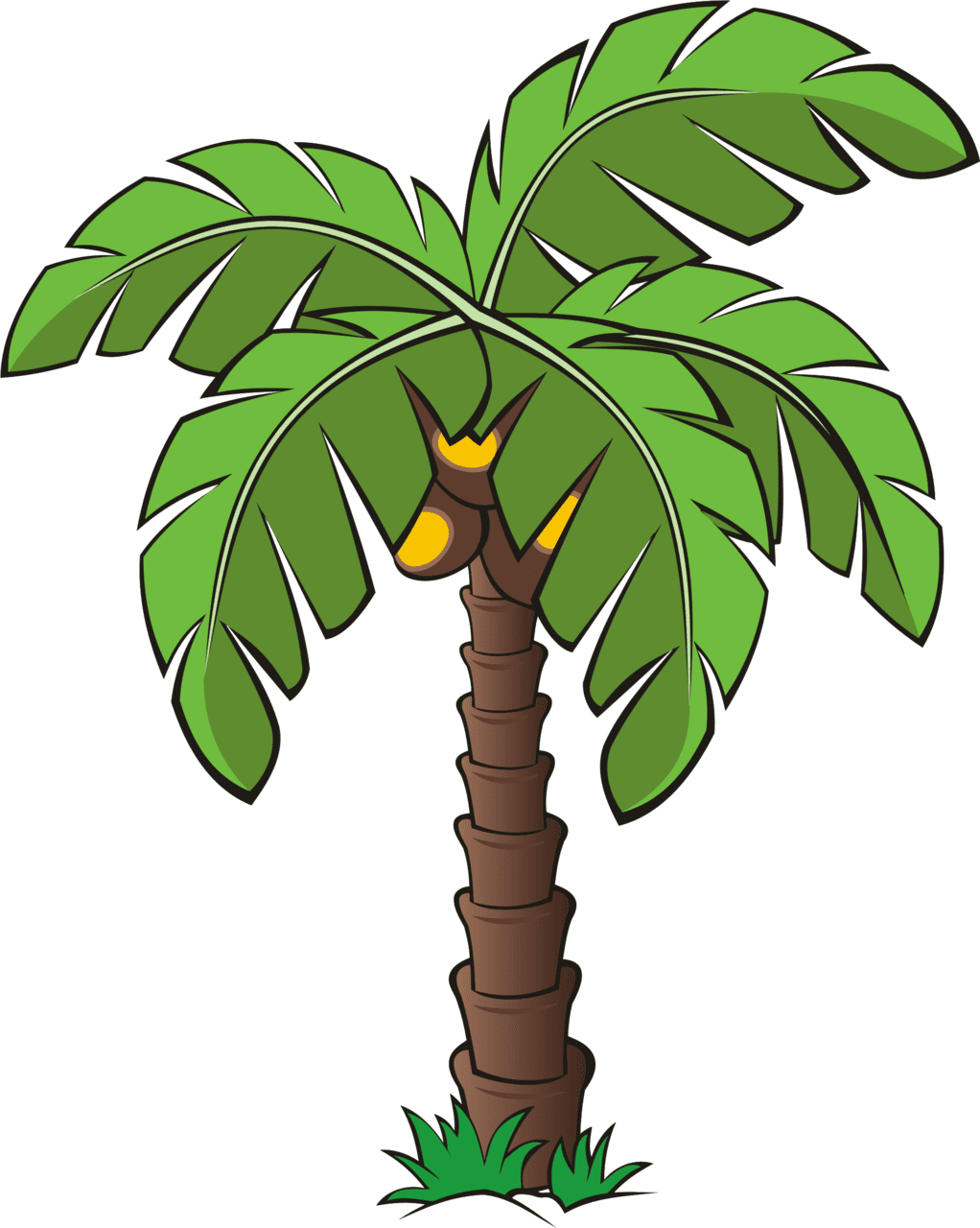 Plant palm tree clipart transparent