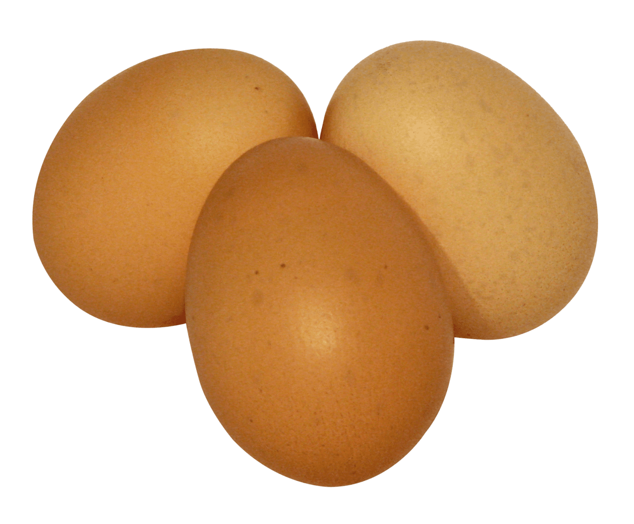 Egg image for clipart 2