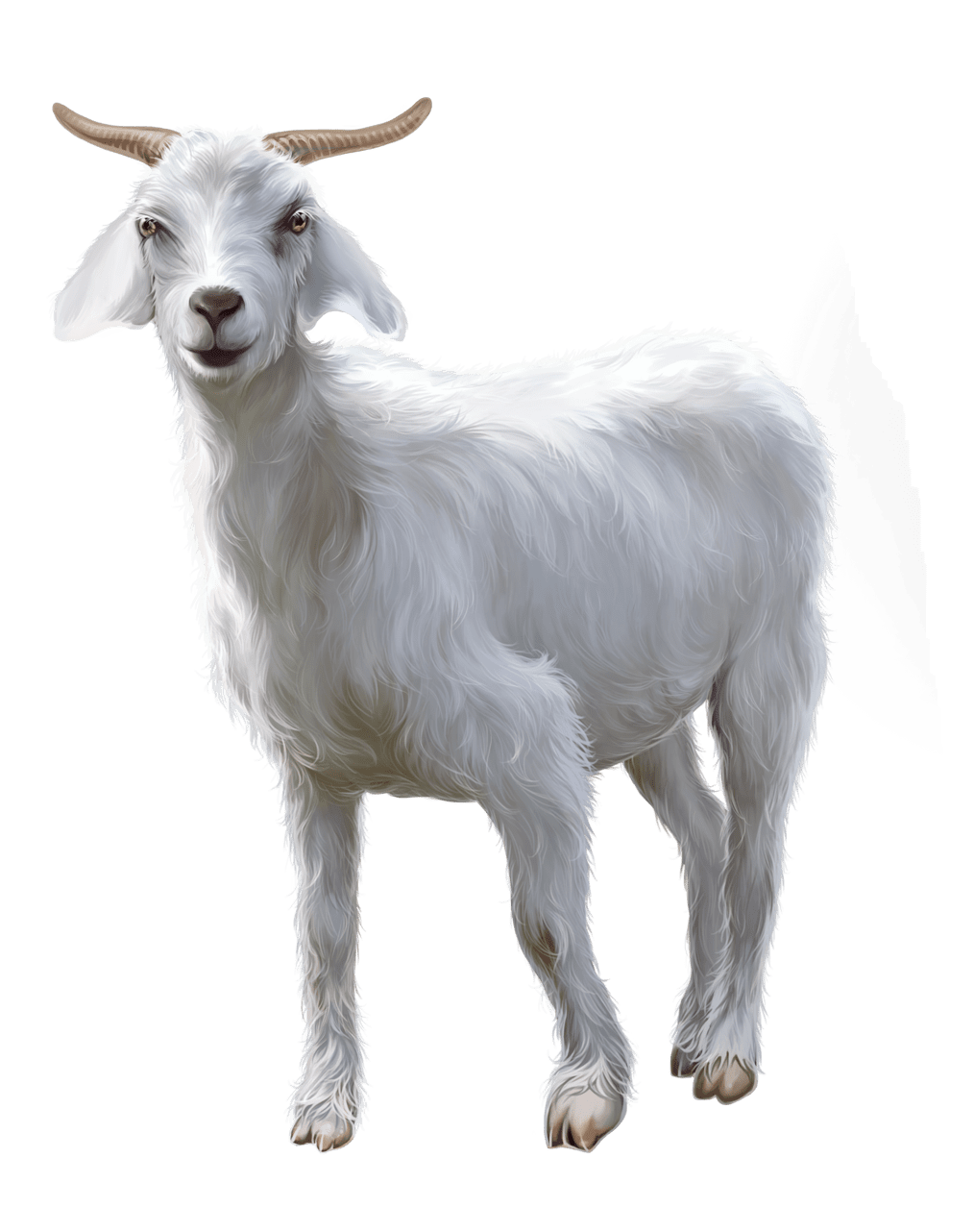 Goat page clipart vector