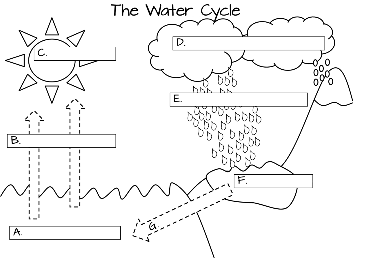 Water cycle foldable clipart picture